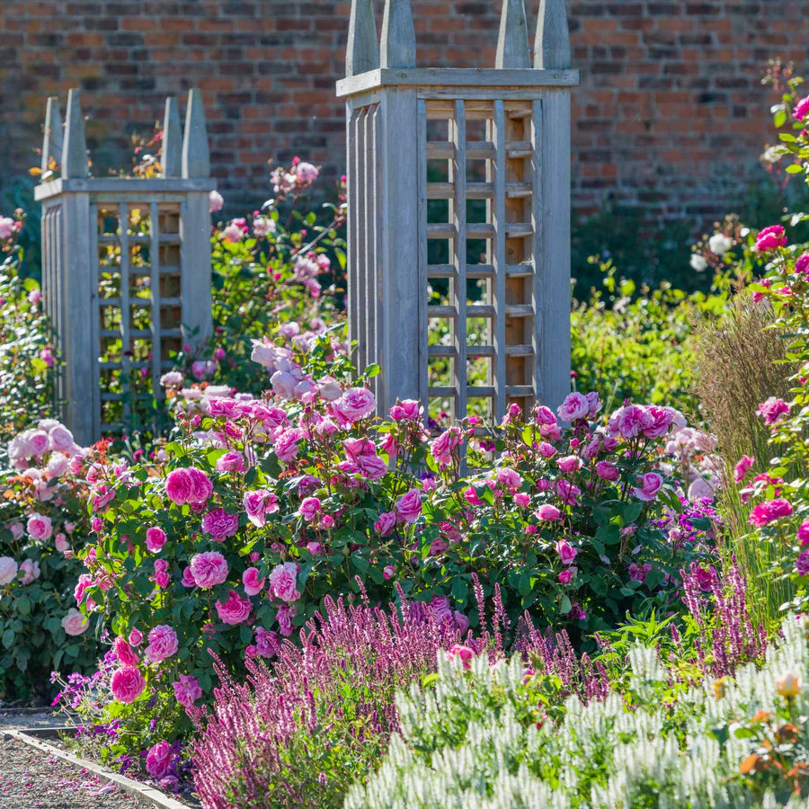 Gertrude Jekyll