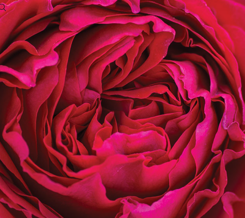 Traviata®