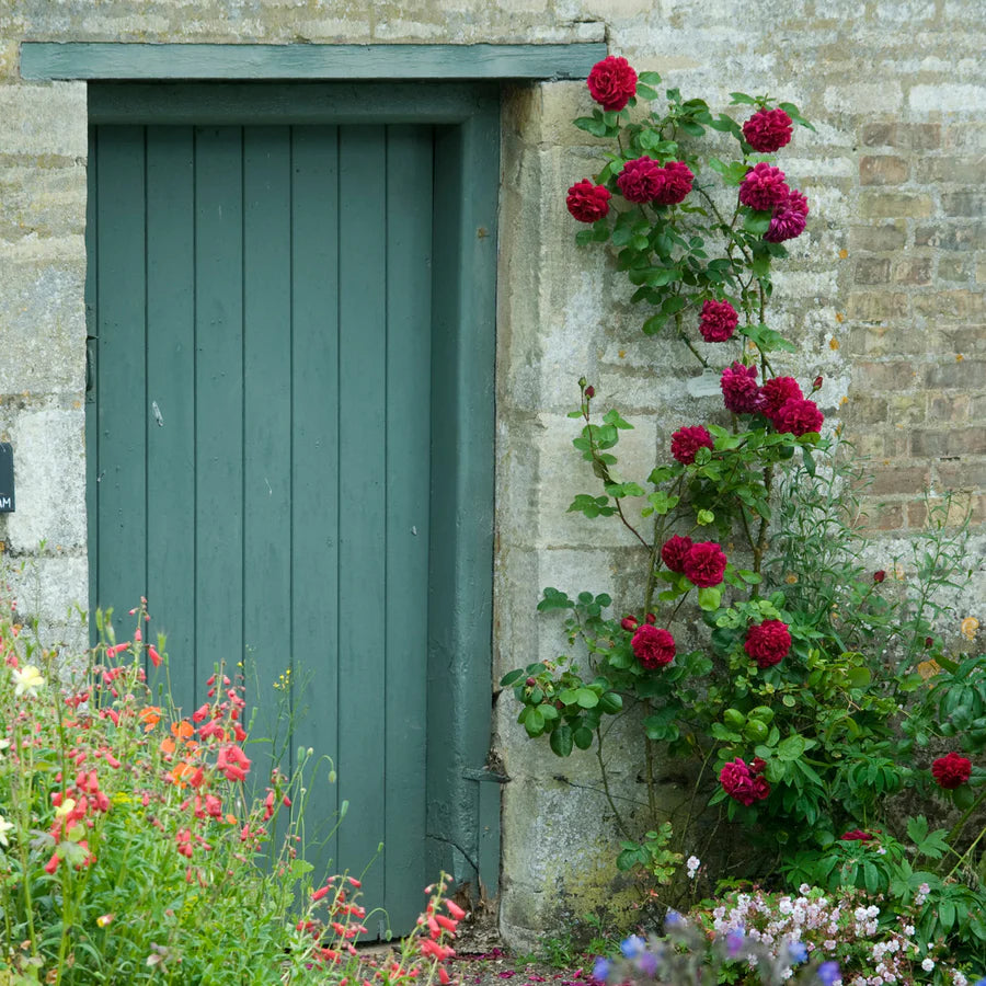 Tess of the D'urbervilles