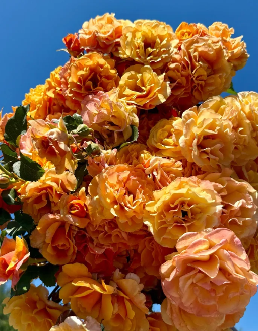 Gold & Great (Glowing Inspiration)